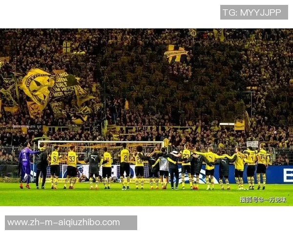 多特蒙德与对手的激烈对决解析及比赛精彩瞬间回顾